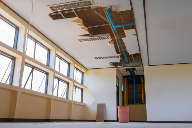 Best Water damage restoration near me  in Butler, OH