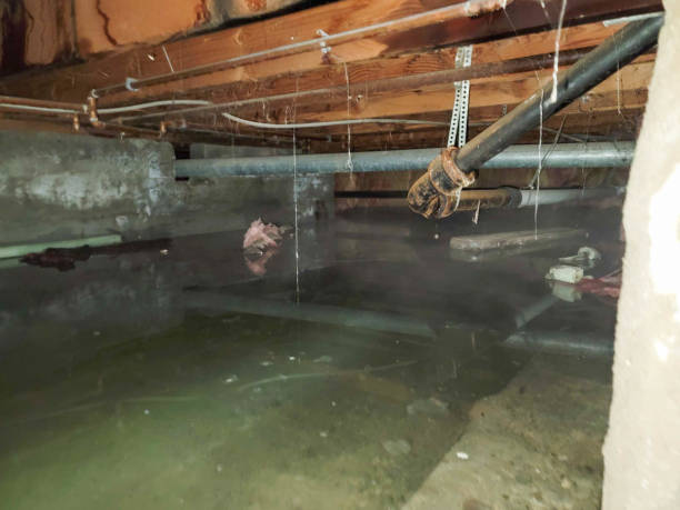 Butler, OH Water damage restoration Company