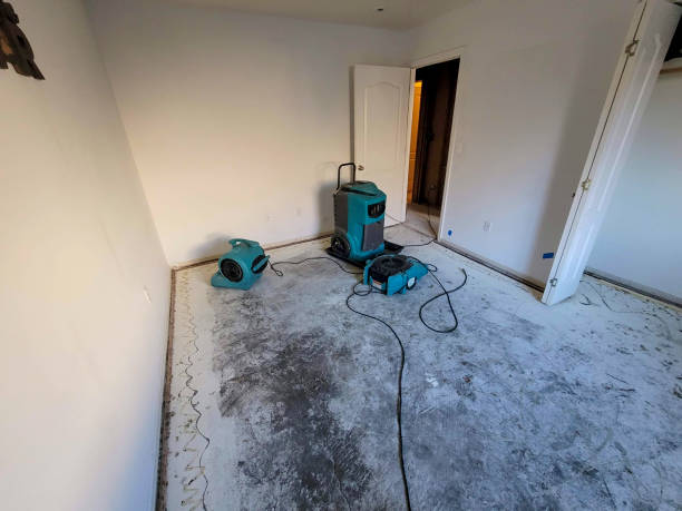 Best Water damage contractors near me  in Butler, OH