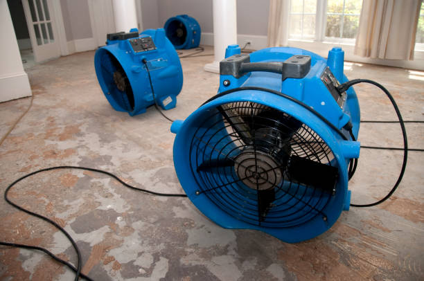Best Flooded house restoration  in Butler, OH