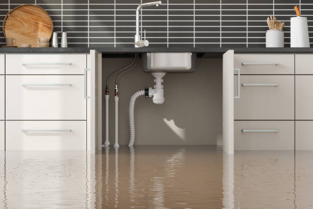 Best Water damage cleanup near me  in Butler, OH
