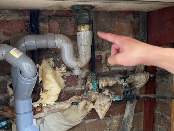 Best Fire Damage Restoration  in Butler, OH
