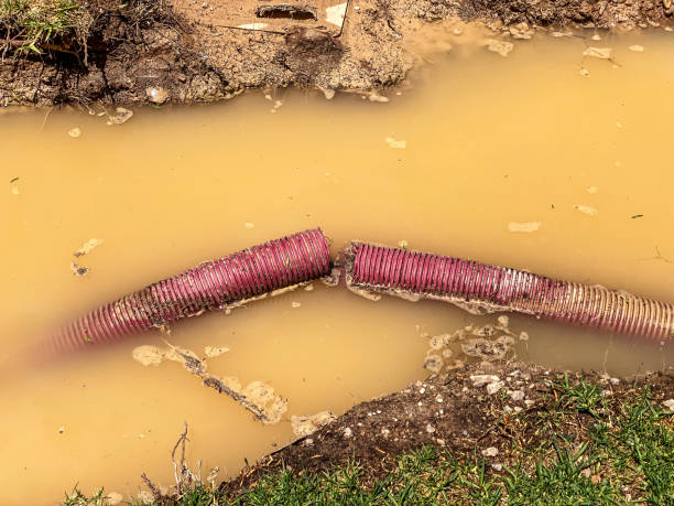Best 24/7 water damage repair  in Butler, OH